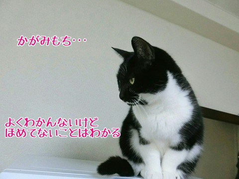 [画像:dcf47bae-s.jpg]