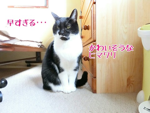 [画像:dd814fdb-s.jpg]