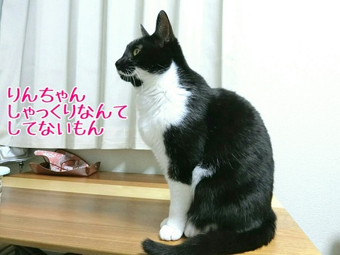 [画像:de7ec466-s.jpg]