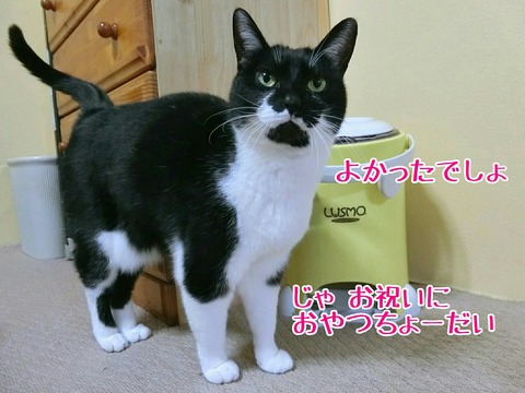 [画像:e1e80402-s.jpg]