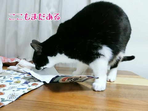 [画像:e2aaeb50-s.jpg]