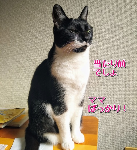 1606254798470
