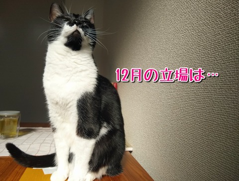 1606773426154