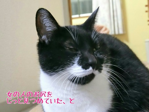 [画像:f0b4ba08-s.jpg]