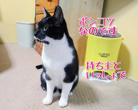 1637985689537
