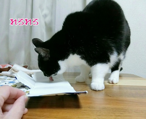 [画像:fe06629c-s.jpg]