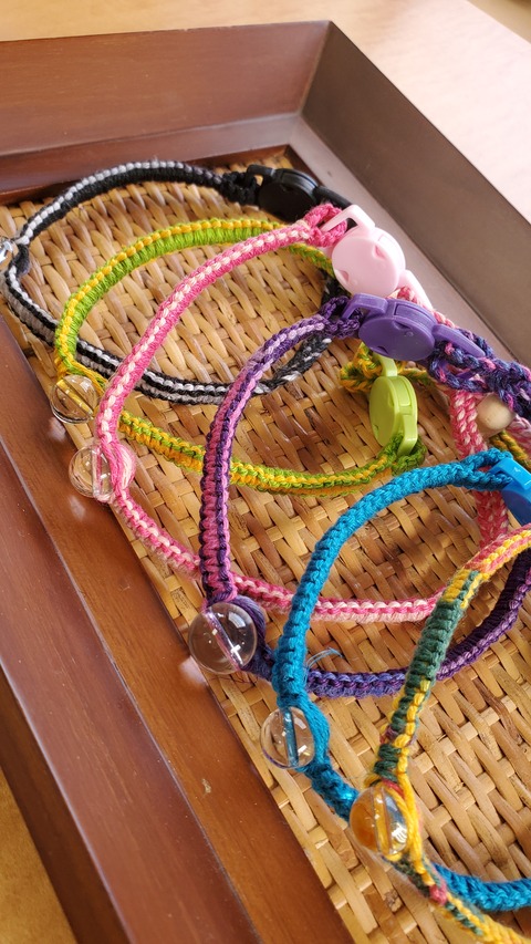 20250314_120126ニャンコ首輪１