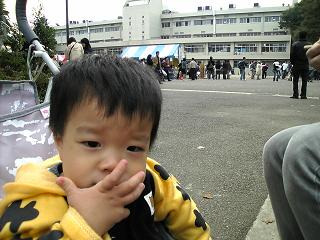 nodai
