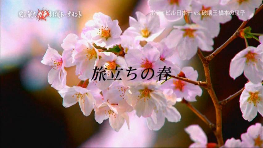 ヨイ★ナガメ:雑感【クイズタレント名鑑（ガチ相撲トーナメント）】 - livedoor Blog（ブログ）