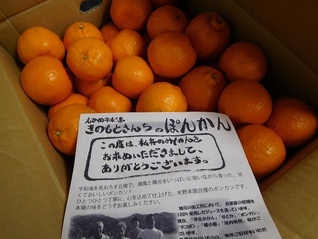 本日2回目投稿 木野本さんちの ぽんかん 今年は更に美味しい 小さな酒屋のひとりごと 本日2回目投稿 木野本さんちの ぽんかん 今年は更に美味しい 小さな酒屋のひとりごと