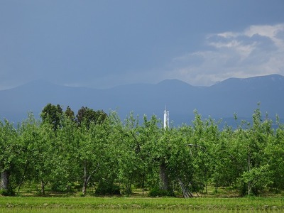 DSC05765