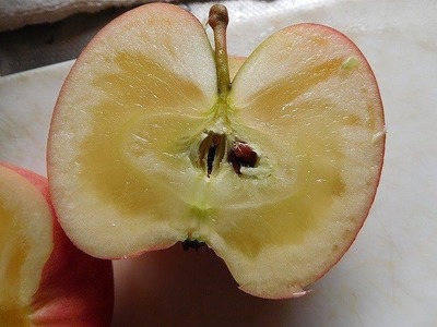 22894438_1581855758571887_7553899990827974978_n