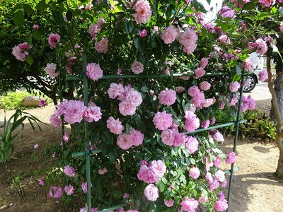 DSC05762