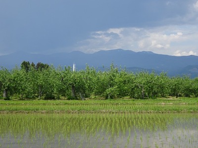DSC05764