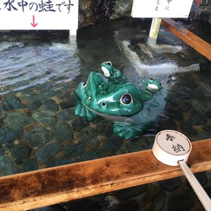二見興玉神社の手洗い場のカエル