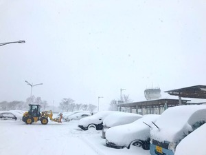 中標津 雪