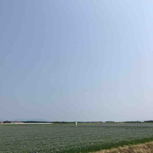 IMG_9718