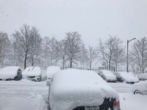 中標津の雪