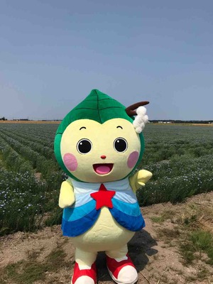 ぽっぴぃくん