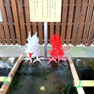紅白の龍