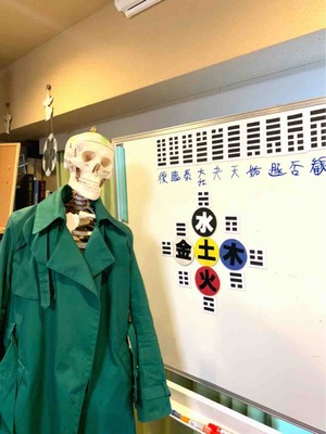 骨格標本2