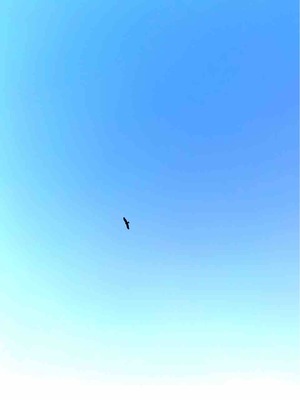 IMG_3037