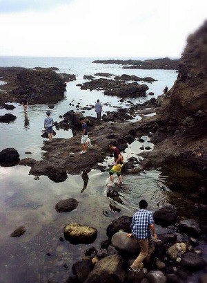 寿都の海