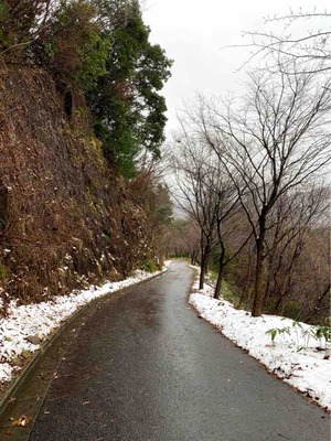 雪の山道