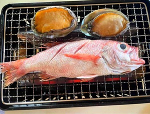 ノドグロ、アワビ