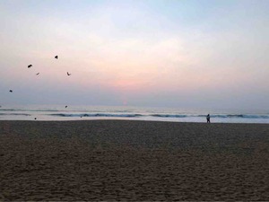 IMG_1463