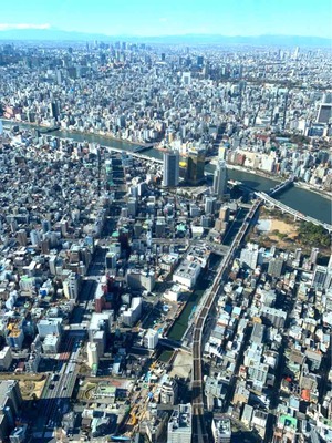 東京の街