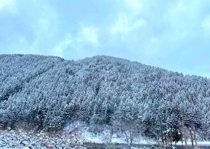 雪の山