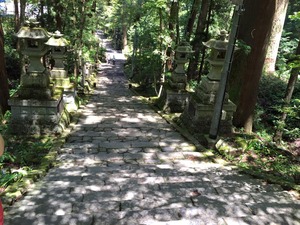 最乗寺参道