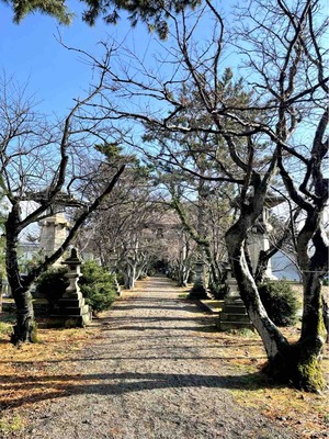 本村井神社参道