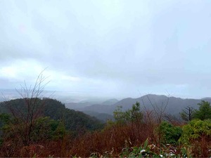 小松の山