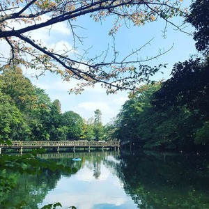 井之頭公園