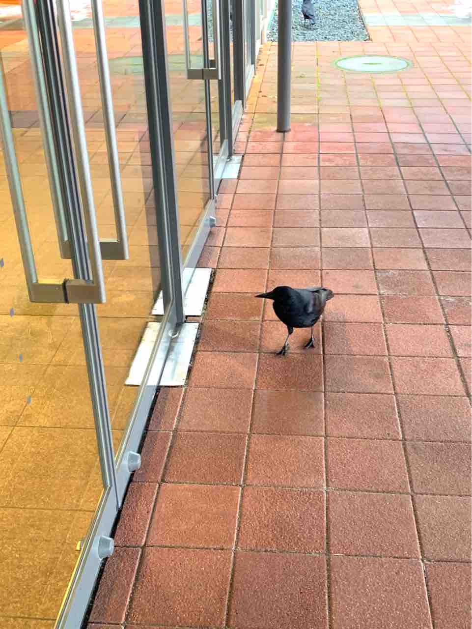 時空の始まりからの出会い 札幌易経講座 易経 陰陽五行 こやまとしのりのブログ 時空の始まりからの出会い 札幌易経講座 易経 陰陽五行 こやまとしのりのブログ