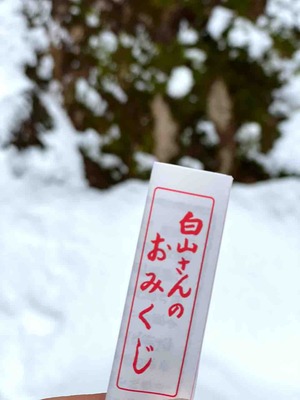 白山さんのおみくじ