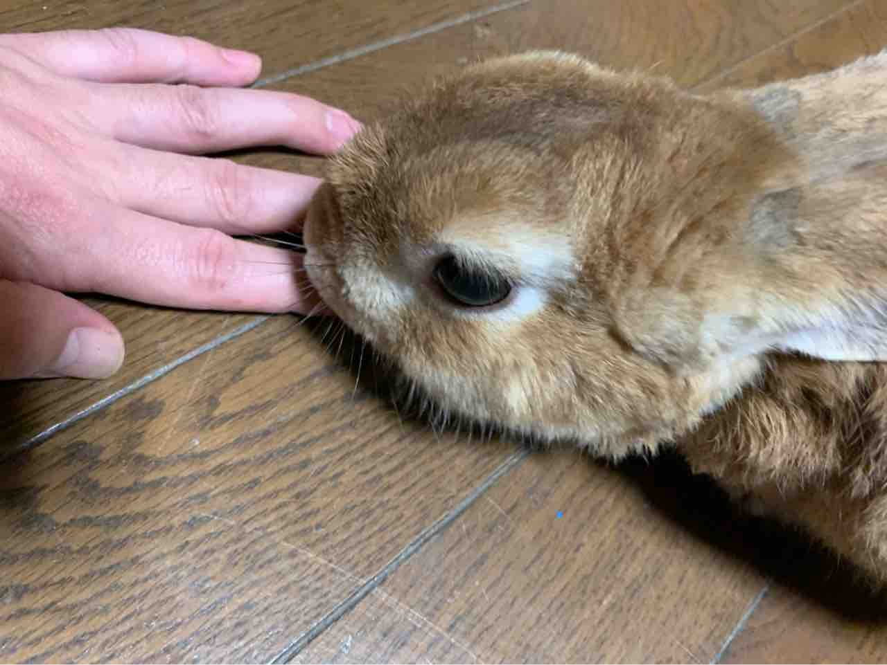 過去への回顧と未来への希望と 大晦日に寄せて 易経 陰陽五行 こやまとしのりのブログ 過去への回顧と未来への希望と 大晦日に寄せて 易経 陰陽五行 こやまとしのりのブログ