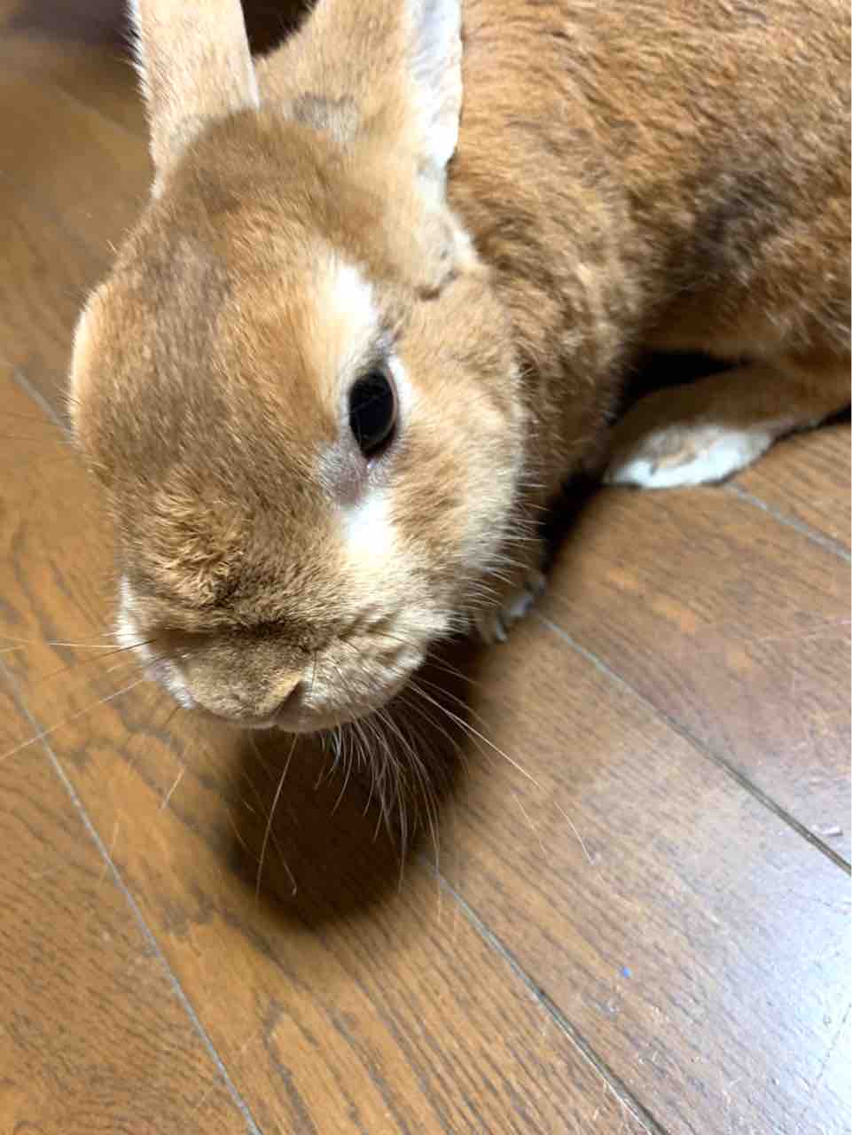 過去への回顧と未来への希望と 大晦日に寄せて 易経 陰陽五行 こやまとしのりのブログ 過去への回顧と未来への希望と 大晦日に寄せて 易経 陰陽五行 こやまとしのりのブログ