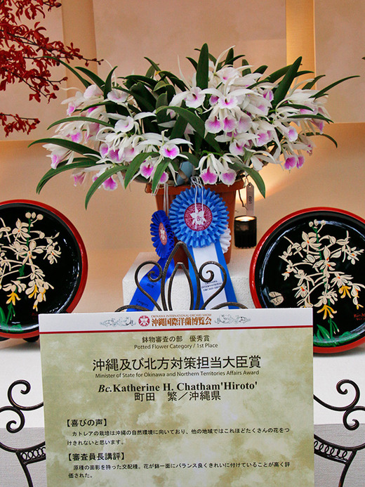 沖縄国際洋蘭博覧会2016 沖縄及び北方対策担当大臣賞