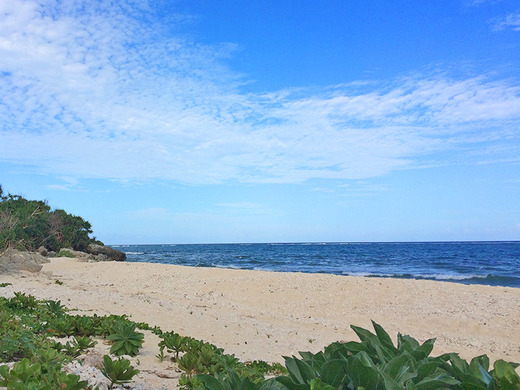 2015年冬至なのに夏日