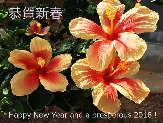 20180101c