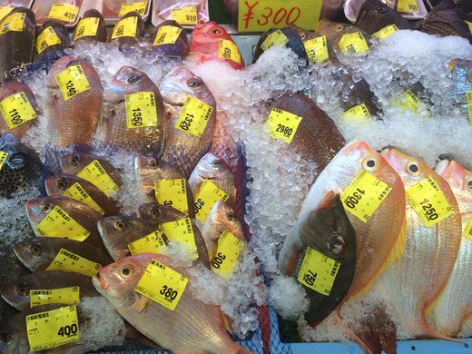 「泊いゆまち」で売られているカラフルな魚