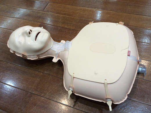 実習で使用したミニアン