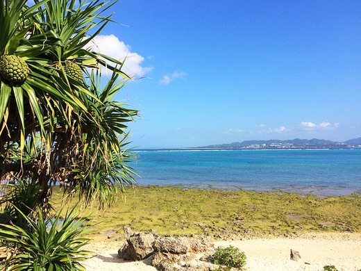 伊江島10月末の海岸