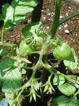 318e3428.jpg