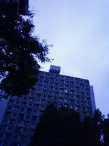 8a04a687.jpg
