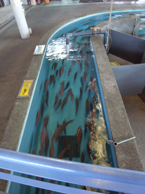 満喫 うしぶか 海彩館編 Director S Blog