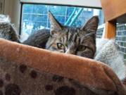 06782f43.jpg